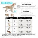 No Pull Dog Harness 2