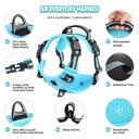 No Pull Dog Harness 3