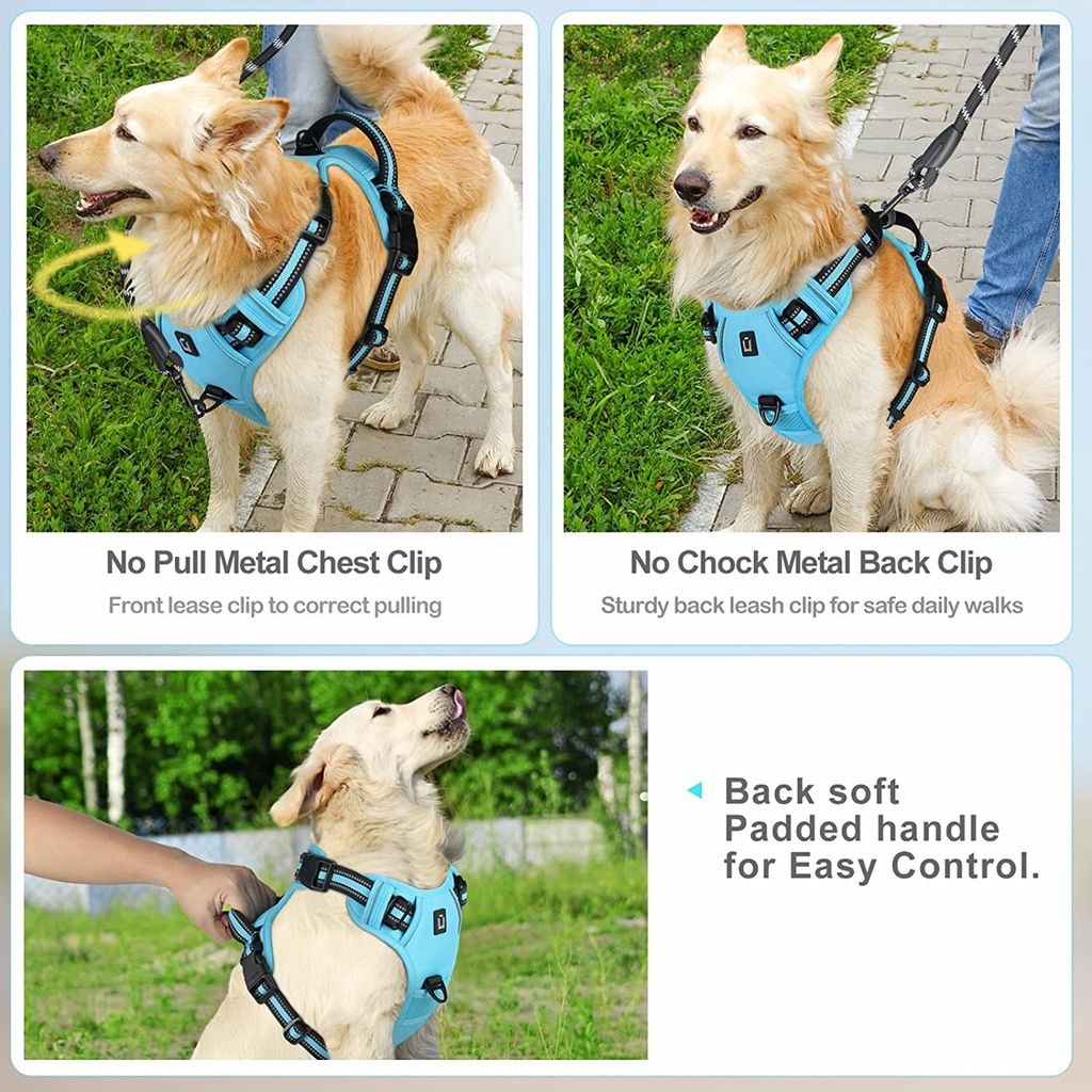 No Pull Dog Harness 4