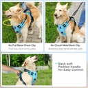 No Pull Dog Harness 4