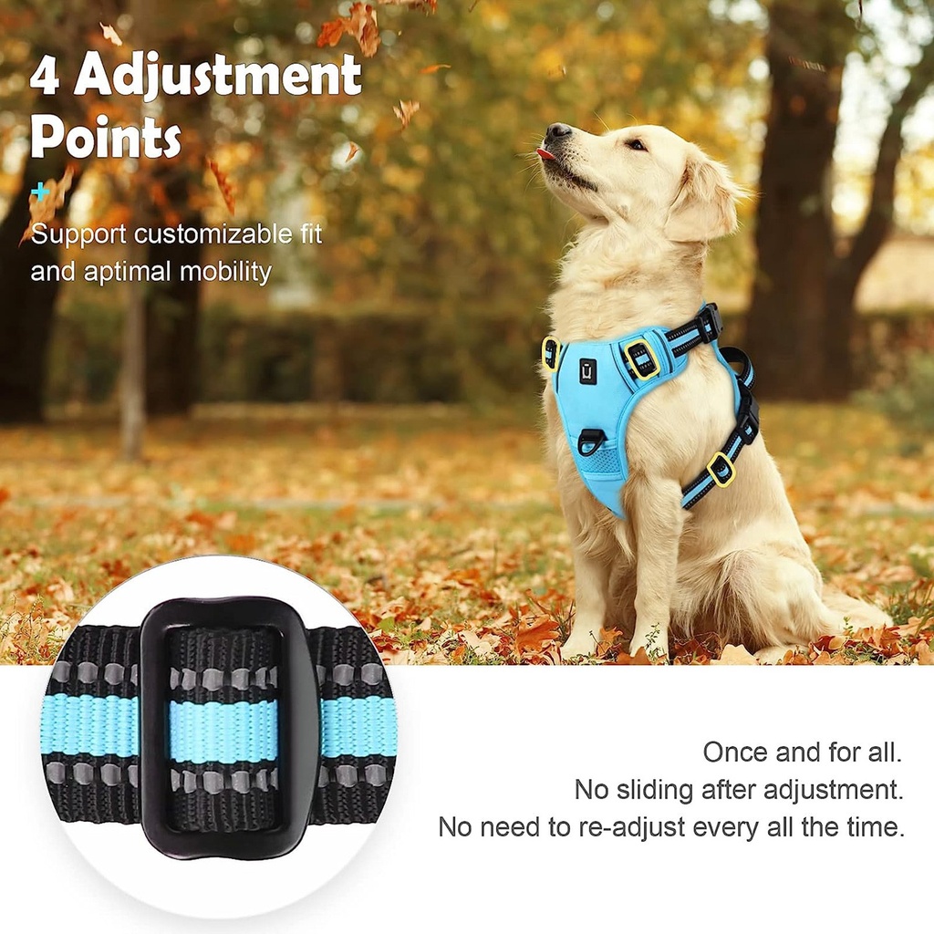 No Pull Dog Harness 5