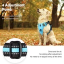 No Pull Dog Harness 5