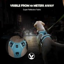 No Pull Dog Harness 6