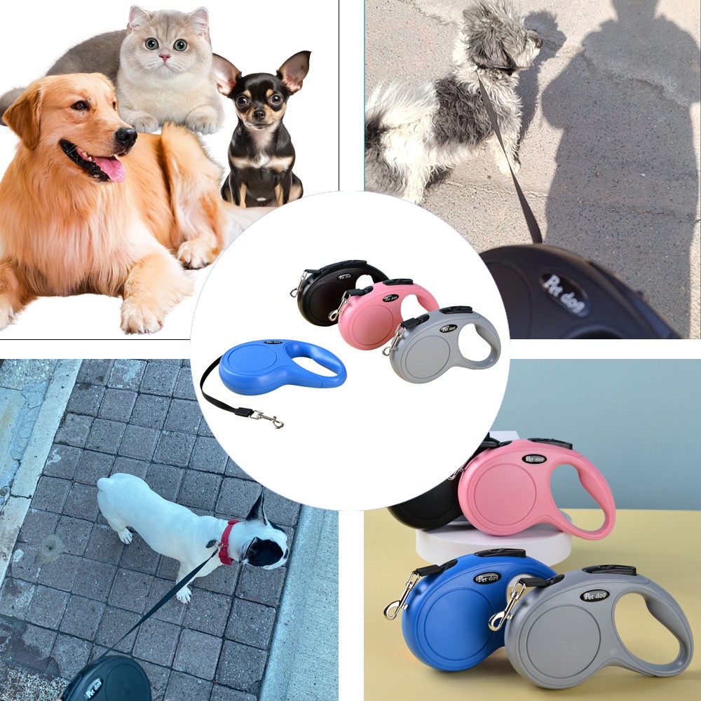 Pet Dog Leash 6