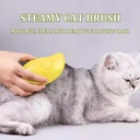 Cat Dog Steamy Brush Steam Brush Electric Sprayer 2