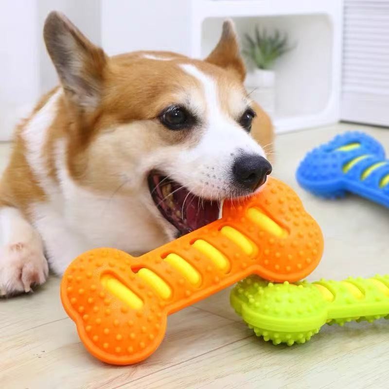 Pet Dog Chew Toys Rubber Bone Toy Bite Resistant Puppy Inter 5