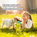 Dog Chew Toy Natural Rubber Safety and Environmental Protect 2