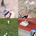 3 Meters 5 Meter Retractable Pet Dog Leash 4
