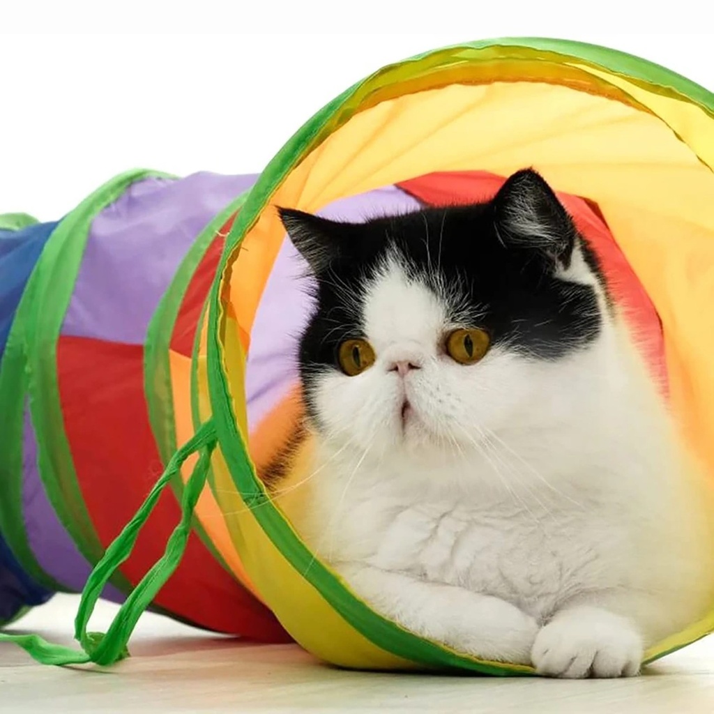Cat Tunnel Tube Foldable Cat Toys Kitty Training Interactive 3