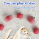 Cat Interactive Ball Toys Automatic Rolling Ball 3