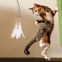 Cat Teaser Toy - Interactive Bell & Feather Wand - Long Suct 6