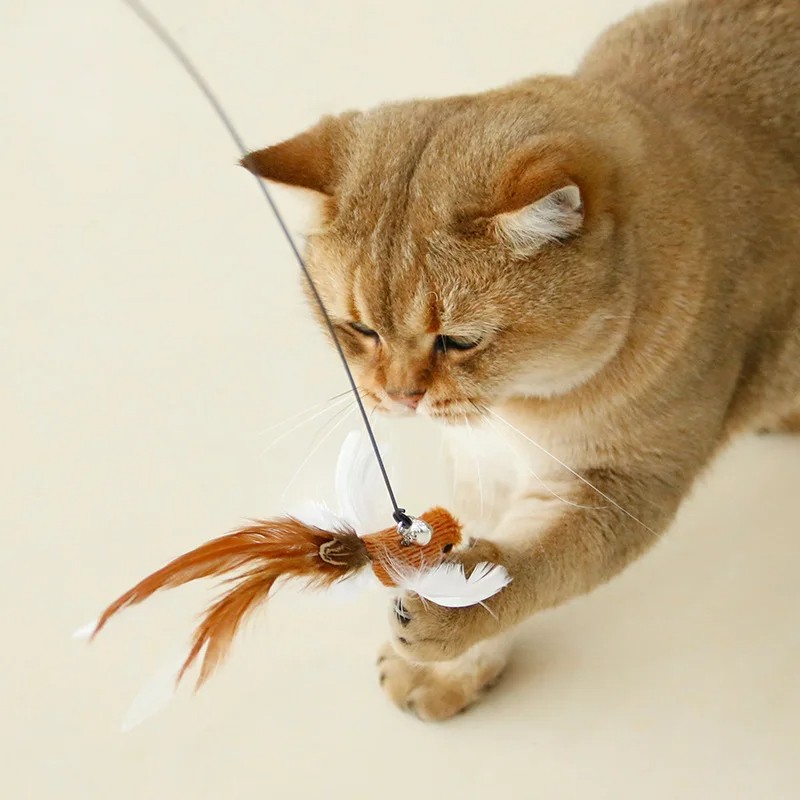 Funny Bird Feather Cat Wand With Bell Accessories Interactiv 2