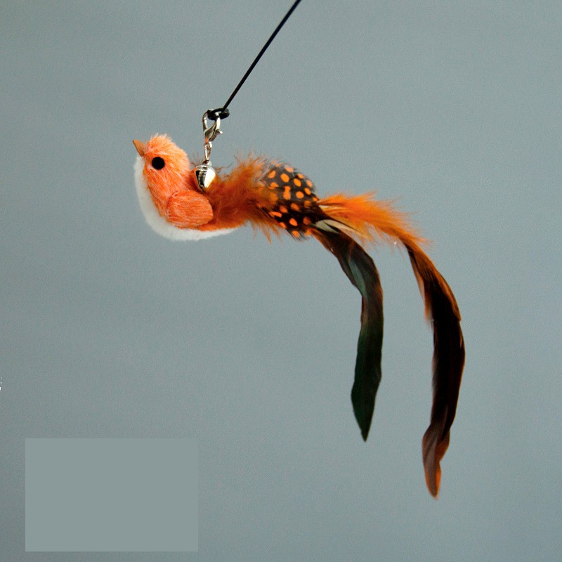Baguette amusante en plumes d'oiseau (Orange Bird)