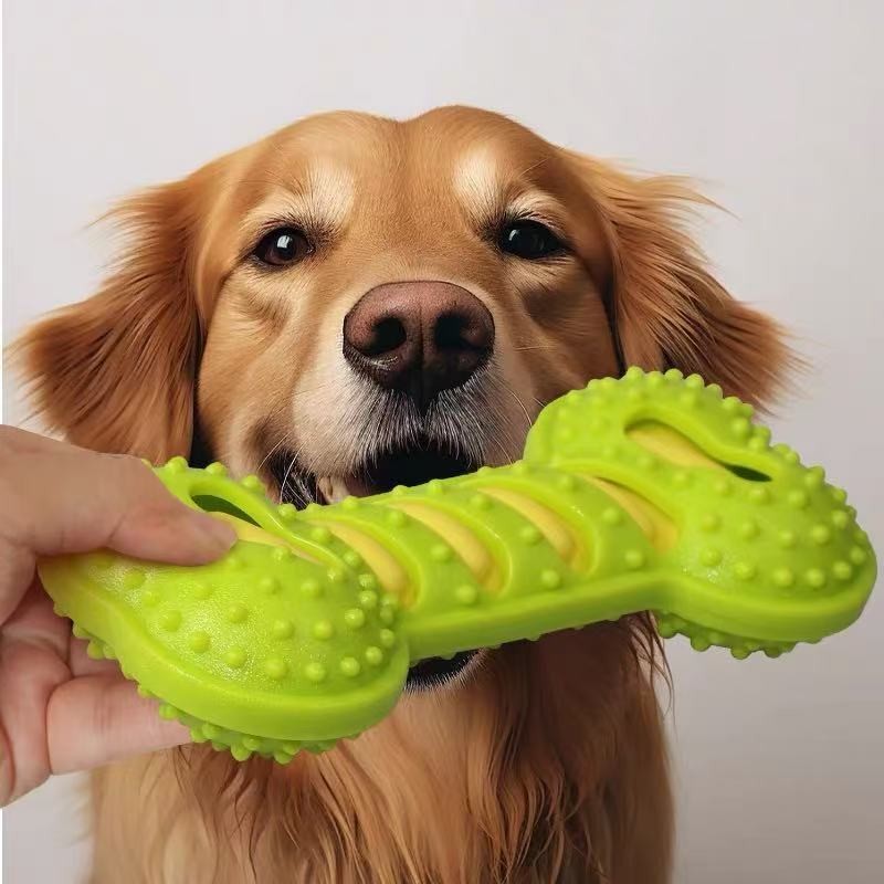 Jouets à mâcher